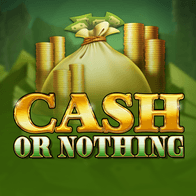 Cash or Nothing screenshot