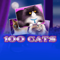 100 Cats screenshot